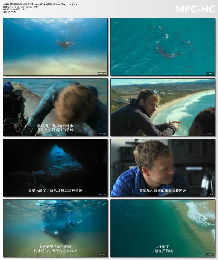 暖色音综现场